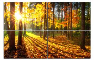 Slika na platnu - Jesenja šuma 1176E (90x60 cm)