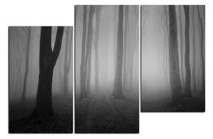 Slika na platnu - Magla u šumi 1182QD (90x60 cm)