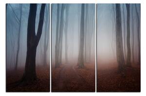 Slika na platnu - Magla u šumi 1182B (90x60 cm )