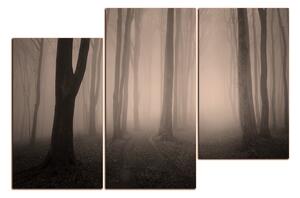 Slika na platnu - Magla u šumi 1182FD (90x60 cm)