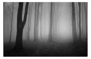 Slika na platnu - Magla u šumi 1182QA (100x70 cm)