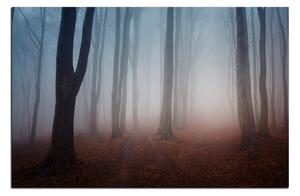 Slika na platnu - Magla u šumi 1182A (90x60 cm )