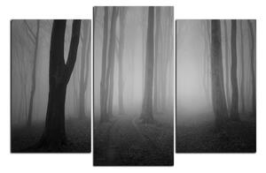 Slika na platnu - Magla u šumi 1182QC (150x100 cm)