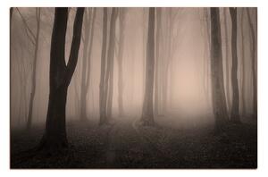 Slika na platnu - Magla u šumi 1182FA (120x80 cm)