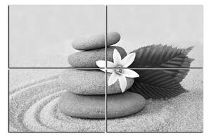 Slika na platnu - Cvijet i kamenje 1189QE (150x100 cm)