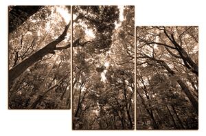 Slika na platnu - Zeleno drveće u šumi 1194FD (90x60 cm)