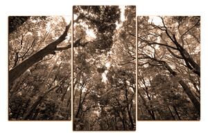 Slika na platnu - Zeleno drveće u šumi 1194FC (150x100 cm)