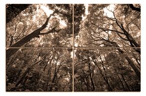 Slika na platnu - Zeleno drveće u šumi 1194FE (120x80 cm)