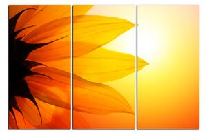 Slika na platnu - Cvijet suncokreta 1201B (90x60 cm )