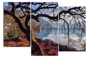 Slika na platnu - Jesen kraj jezera 1198D (120x80 cm)