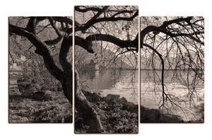 Slika na platnu - Jesen kraj jezera 1198QC (120x80 cm)