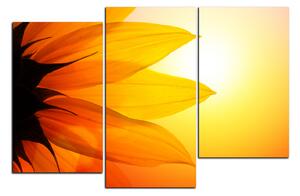 Slika na platnu - Cvijet suncokreta 1201D (90x60 cm)