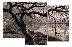 Slika na platnu - Jesen kraj jezera 1198QD (120x80 cm)