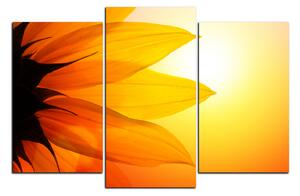 Slika na platnu - Cvijet suncokreta 1201C (90x60 cm)