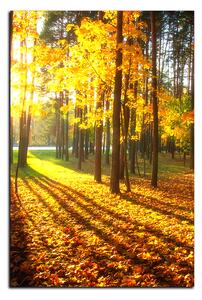Slika na platnu - Jesenja šuma - pravokutnik 7176A (120x80 cm)