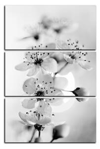 Slika na platnu - Mali cvjetovi na grani - pravokutnik 7173QB (90x60 cm )