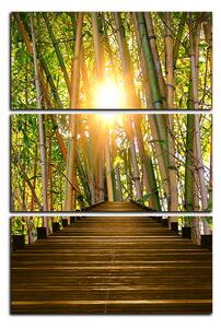 Slika na platnu - Drvena šetnica u šumi bambusa - pravokutnik 7172B (90x60 cm )