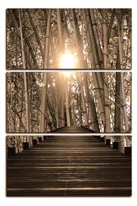 Slika na platnu - Drvena šetnica u šumi bambusa - pravokutnik 7172FB (90x60 cm )