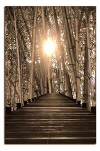 Slika na platnu - Drvena šetnica u šumi bambusa - pravokutnik 7172FA (90x60 cm )
