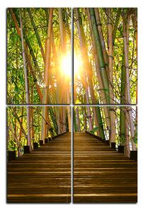 Slika na platnu - Drvena šetnica u šumi bambusa - pravokutnik 7172D (90x60 cm)