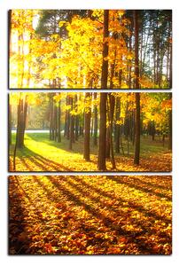 Slika na platnu - Jesenja šuma - pravokutnik 7176B (120x80 cm)