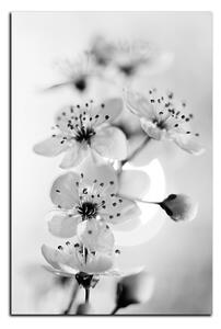 Slika na platnu - Mali cvjetovi na grani - pravokutnik 7173QA (90x60 cm )