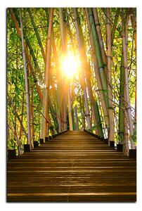 Slika na platnu - Drvena šetnica u šumi bambusa - pravokutnik 7172A (90x60 cm )