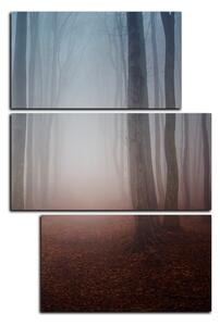 Slika na platnu - Magla u šumi - pravokutnik 7182D (120x80 cm)