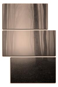Slika na platnu - Magla u šumi - pravokutnik 7182FD (120x80 cm)