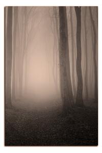 Slika na platnu - Magla u šumi - pravokutnik 7182FA (100x70 cm)