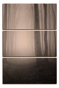 Slika na platnu - Magla u šumi - pravokutnik 7182FB (120x80 cm)