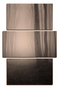 Slika na platnu - Magla u šumi - pravokutnik 7182FC (120x80 cm)