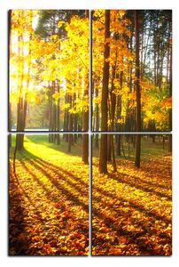 Slika na platnu - Jesenja šuma - pravokutnik 7176E (90x60 cm)