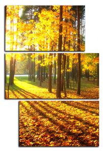 Slika na platnu - Jesenja šuma - pravokutnik 7176D (120x80 cm)