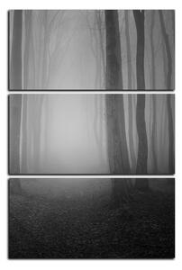 Slika na platnu - Magla u šumi - pravokutnik 7182QB (120x80 cm)