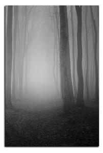 Slika na platnu - Magla u šumi - pravokutnik 7182QA (100x70 cm)