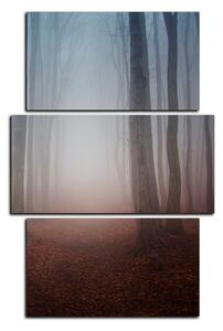 Slika na platnu - Magla u šumi - pravokutnik 7182C (90x60 cm)