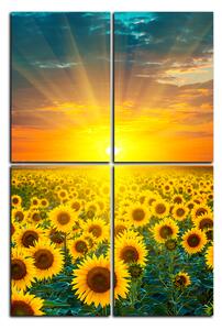 Slika na platnu - Polje suncokreta u zalasku sunca - pravokutnik 7199D (120x80 cm)