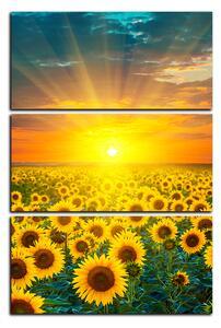 Slika na platnu - Polje suncokreta u zalasku sunca - pravokutnik 7199B (120x80 cm)