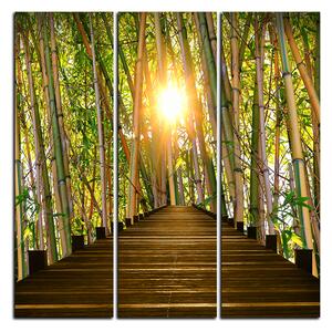 Slika na platnu - Drvena šetnica u šumi bambusa - kvadrat 3172B (75x75 cm)