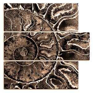 Slika na platnu - Tekstura fosila - kvadrat 3174FD (75x75 cm)