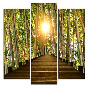 Slika na platnu - Drvena šetnica u šumi bambusa - kvadrat 3172C (75x75 cm)