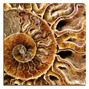 Slika na platnu - Tekstura fosila - kvadrat 3174A (50x50 cm)