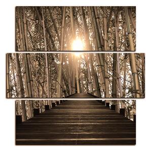 Slika na platnu - Drvena šetnica u šumi bambusa - kvadrat 3172FD (75x75 cm)