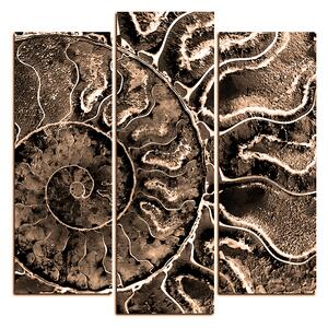 Slika na platnu - Tekstura fosila - kvadrat 3174FC (75x75 cm)
