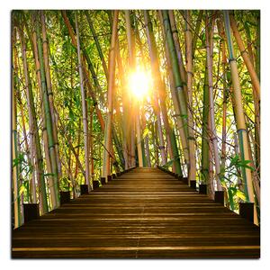 Slika na platnu - Drvena šetnica u šumi bambusa - kvadrat 3172A (50x50 cm)