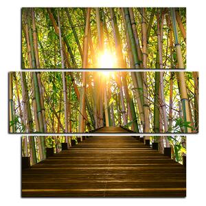 Slika na platnu - Drvena šetnica u šumi bambusa - kvadrat 3172D (75x75 cm)