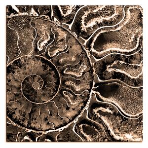 Slika na platnu - Tekstura fosila - kvadrat 3174FA (50x50 cm)