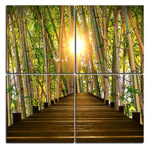 Slika na platnu - Drvena šetnica u šumi bambusa - kvadrat 3172E (60x60 cm)