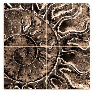 Slika na platnu - Tekstura fosila - kvadrat 3174FE (60x60 cm)